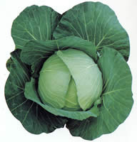 �Ă̂���