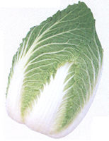 �珟