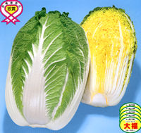 �啟
