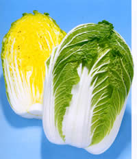 �啟85
