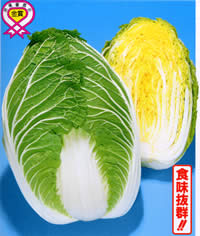 �ʋ�