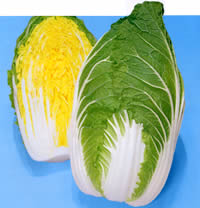 �Ӓ��啟