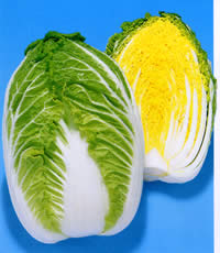 ���啟