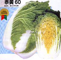 �׉�60