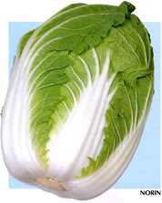 ���v��65