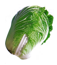 ���h