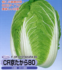 CR��������80