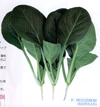 �䎟�Y