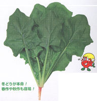 �g���C