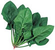 �ق����