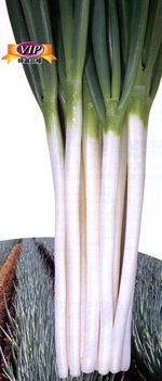 �ďꏊ