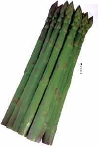 �n�C�f��