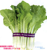 �哌���ׂ���