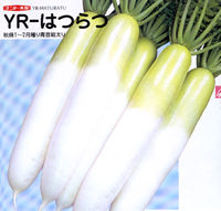 YR-�͂��