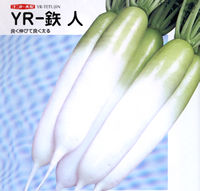 YR-�S�l