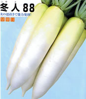 �~�l88