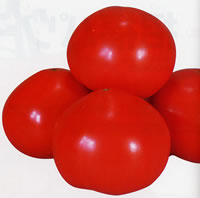 �Õ�