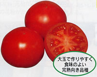 ��e