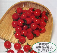 �L������10