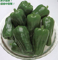 ���䂽��