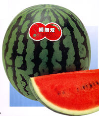 �Ȗ��o