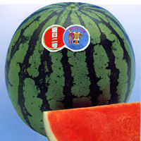 �ē���