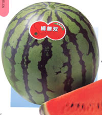 �Ȗ��oH