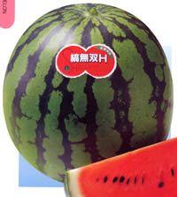 �Ȗ��oHL