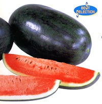 �R���K