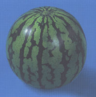 �Ă̖��X�[�p�[5