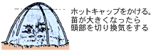 �z�b�g�L���b�v
