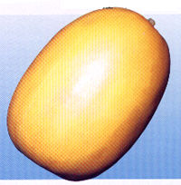 �R���i