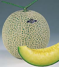 �A�[���X�i�C�g���t�ӏH�n