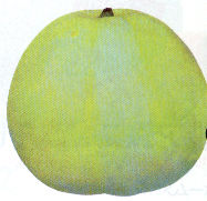 �j���[������
