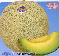 �s�ꏬ�H