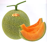 �o�[�f�[���b�h