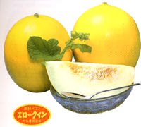 �G���[�N�C��