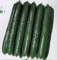 �⑾�Y
