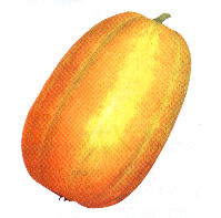 ���[�Z
