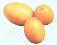 ���܂˂܂���