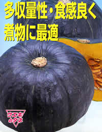 �ς��낤