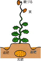 �ǔ�
