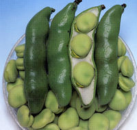 �O�A