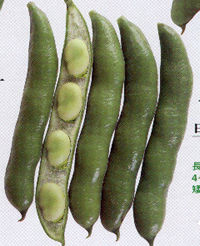 �ꐡ�傻��܂�