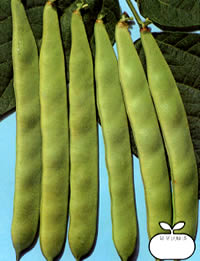 �V�䍂