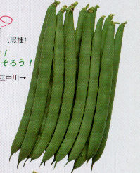 �V�]�ː�