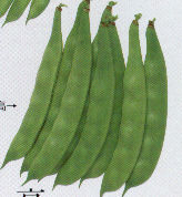 �䍂