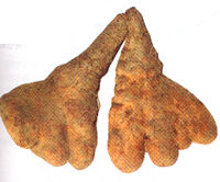 �C�`���E����
