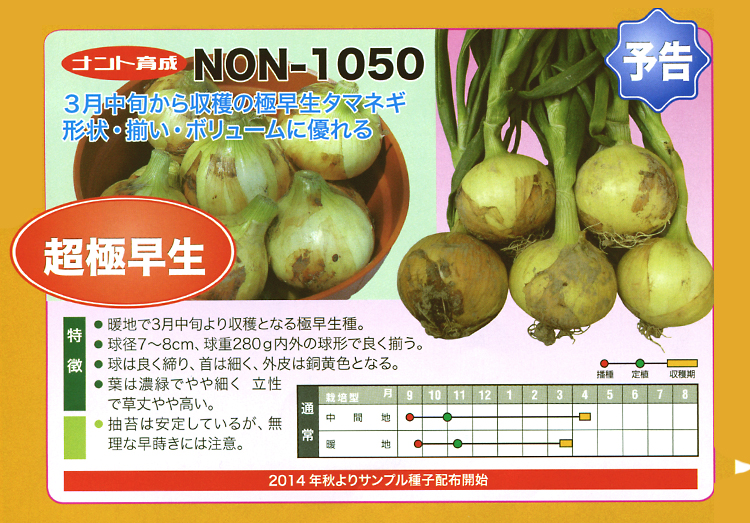 ナント種苗株式会社 ／ たまねぎ ／ ナント育成　／ NON-1050