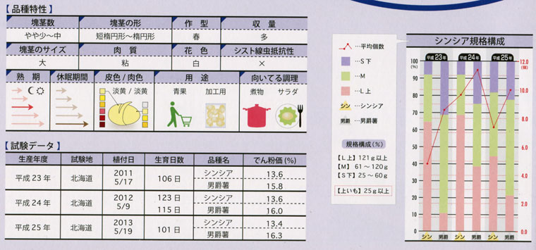 シンシア　品質特性